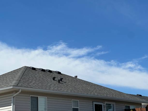 Best Metal Roofing Installation  in Green, OH